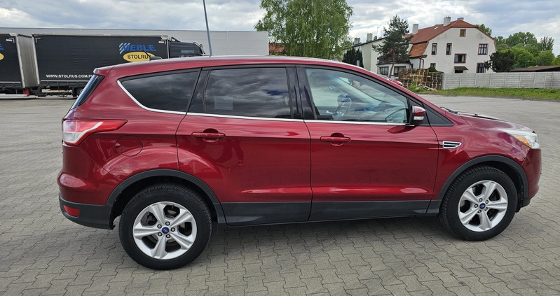 Ford Escape cena 46500 przebieg: 113000, rok produkcji 2013 z Krotoszyn małe 67